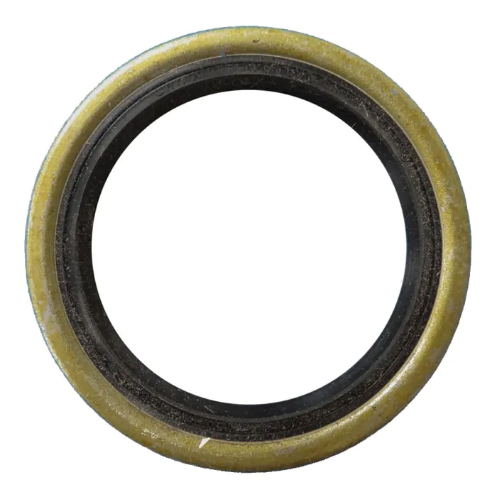 コクサイ NEW CENTURY CURT Lippert® Double Lip Grease Seal - 2.855